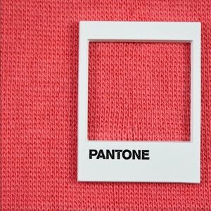 Pantone enamel pin